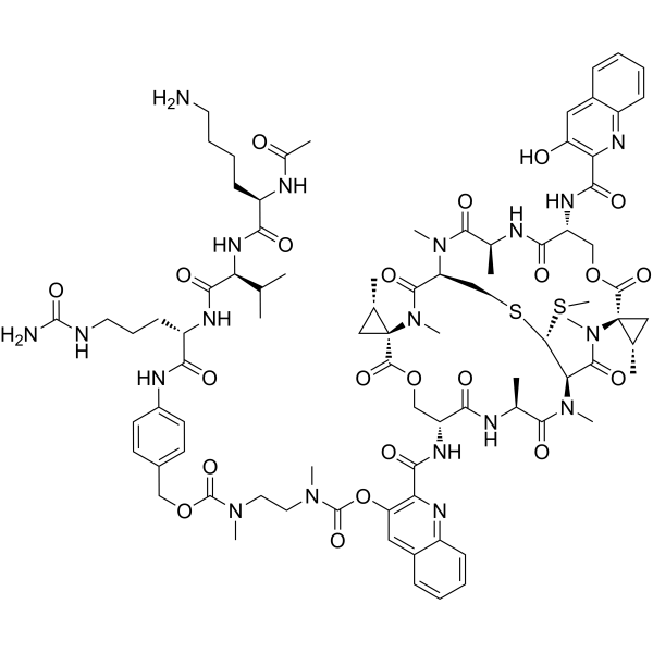 AcLysValCit-PABC-DMAE-SW-163D 2411007-69-5